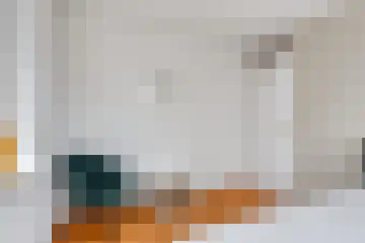 Volkerak 6 Alkmaar thumbnail 29