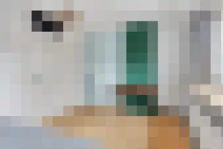 Volkerak 6 Alkmaar thumbnail 36