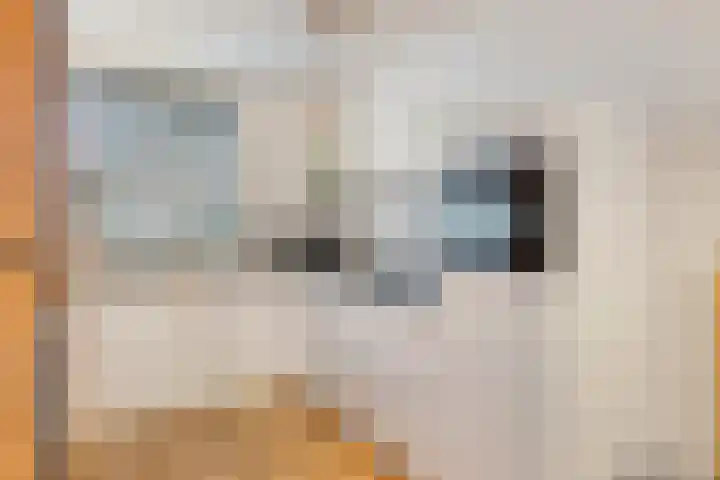 Volkerak 6 Alkmaar thumbnail 4