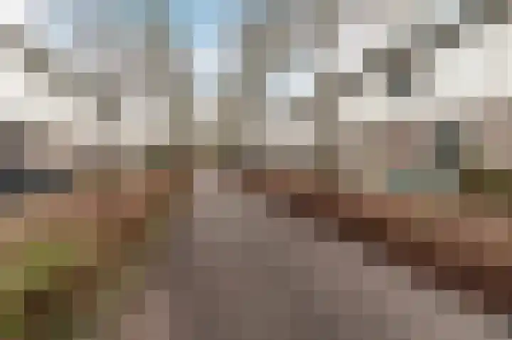 Volkerakpad 6 Almere thumbnail 35