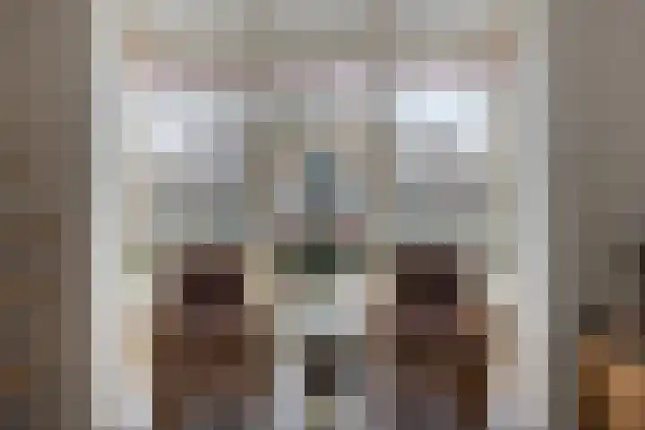 Volkering 2 Goor thumbnail 11