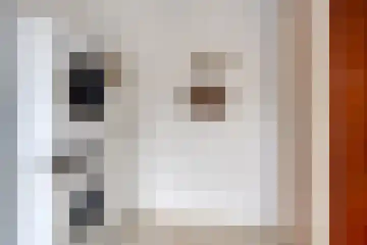 Volkering 2 Goor thumbnail 24