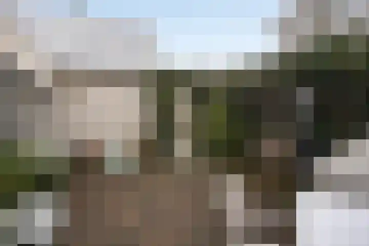 Volkering 2 Goor thumbnail 45