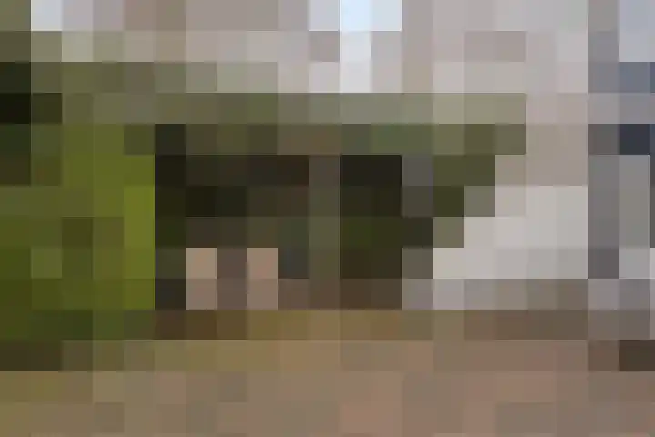 Volkering 2 Goor thumbnail 46