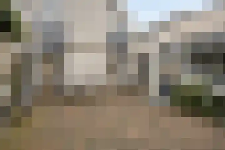 Volkering 2 Goor thumbnail 47
