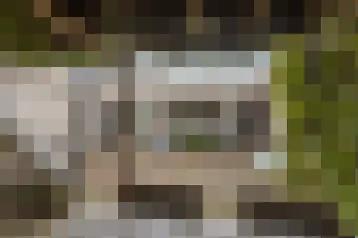 Volkering 2 Goor thumbnail 50