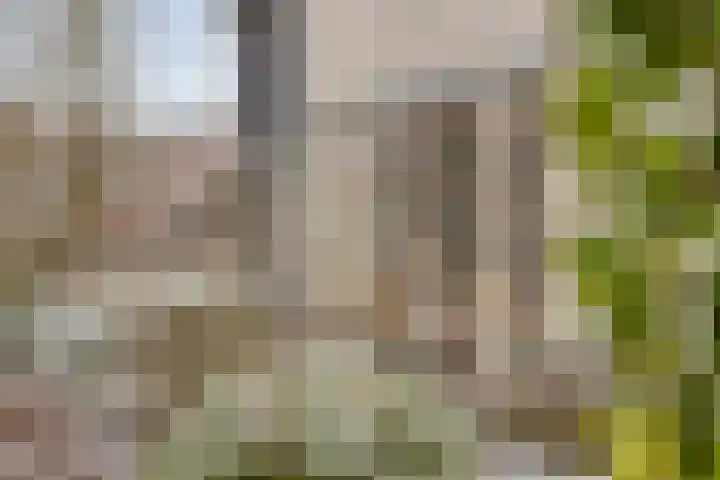 Volkering 2 Goor thumbnail 52