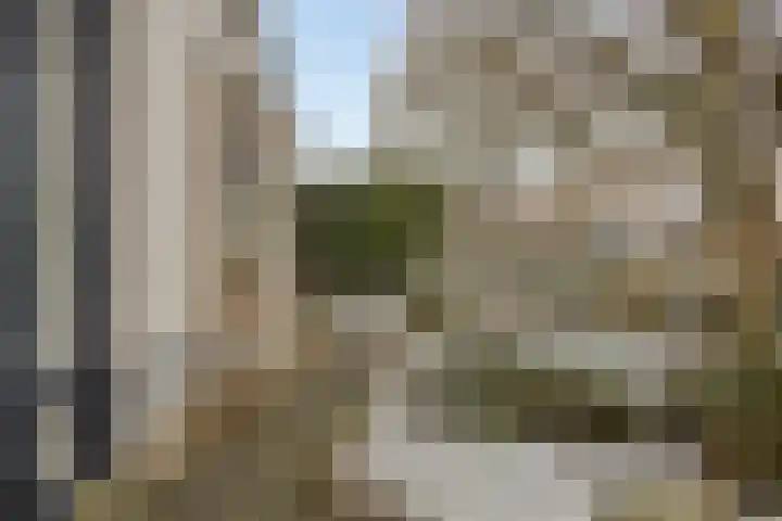 Volkering 2 Goor thumbnail 53