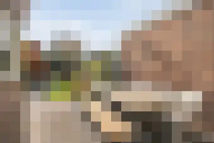 Volkerinksstraat 26 Almelo thumbnail 27