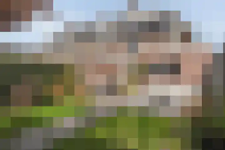 Volkerinksstraat 26 Almelo thumbnail 30