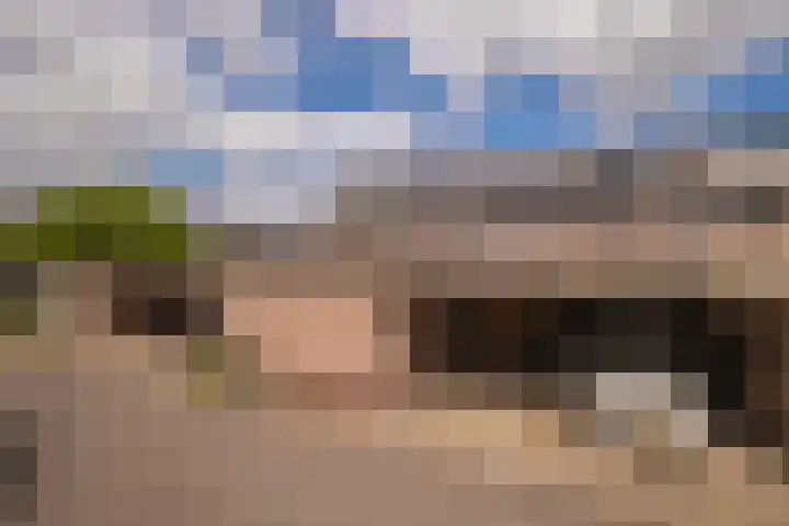 Logo Volkerts Makelaardij