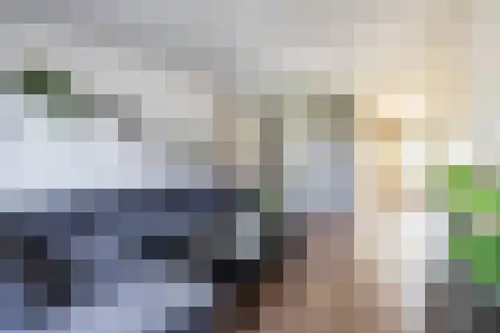 Volmachten 64 Vries thumbnail 15