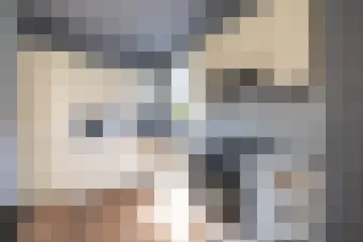 Volmachten 64 Vries thumbnail 21