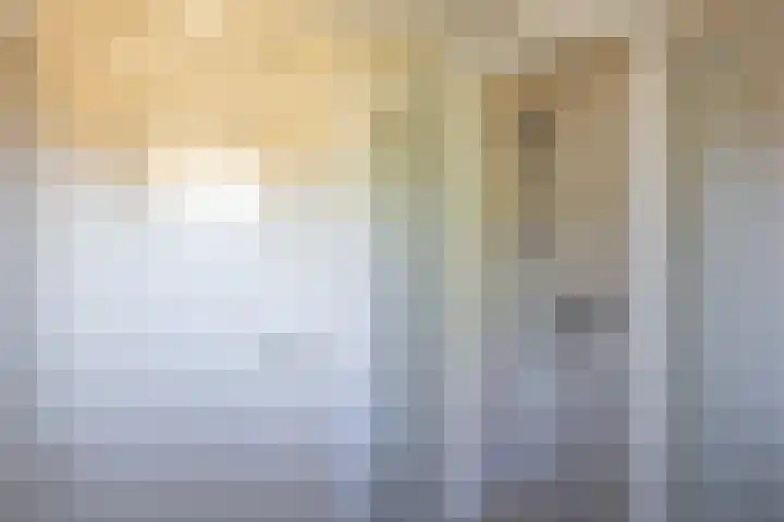 Volmachten 64 Vries thumbnail 33