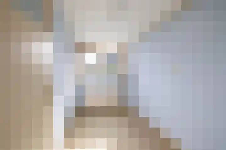 Volmachten 64 Vries thumbnail 35