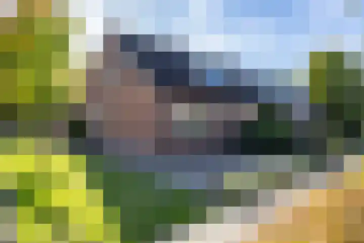 Volmachten 64 Vries thumbnail 7