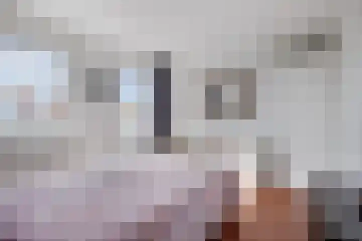 Volmolengracht 16 Leiden thumbnail 13