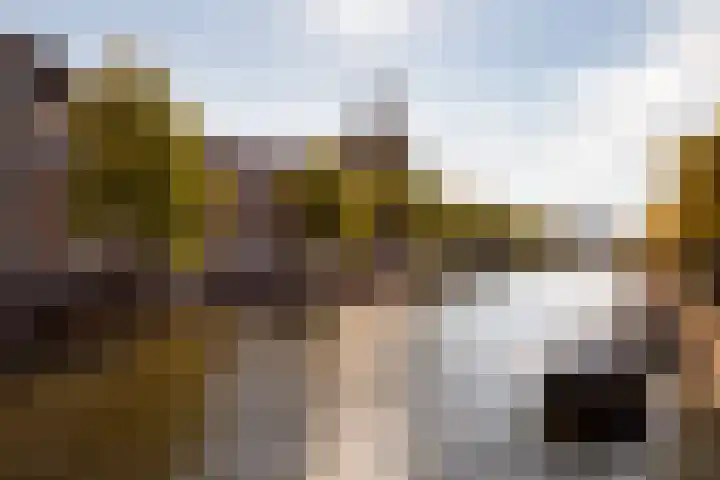 Volmolengracht 16 Leiden thumbnail 24