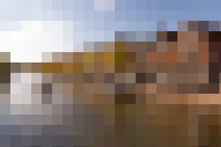 Volmolengracht 16 Leiden thumbnail 25