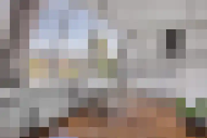Volmolengracht 16 Leiden thumbnail 6