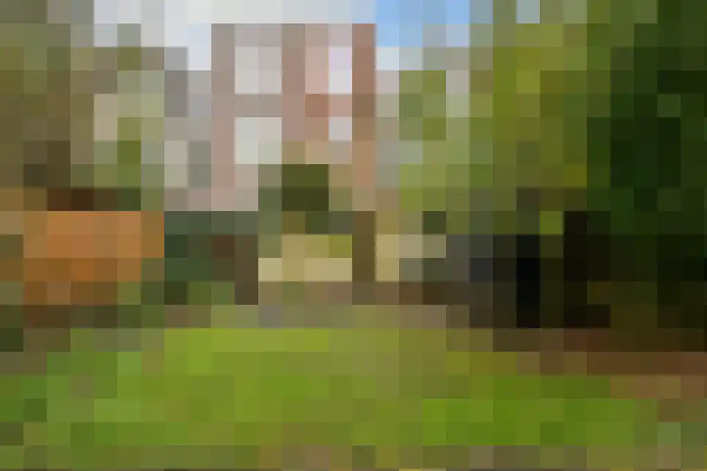 Voltastraat 44 Den Haag thumbnail 35
