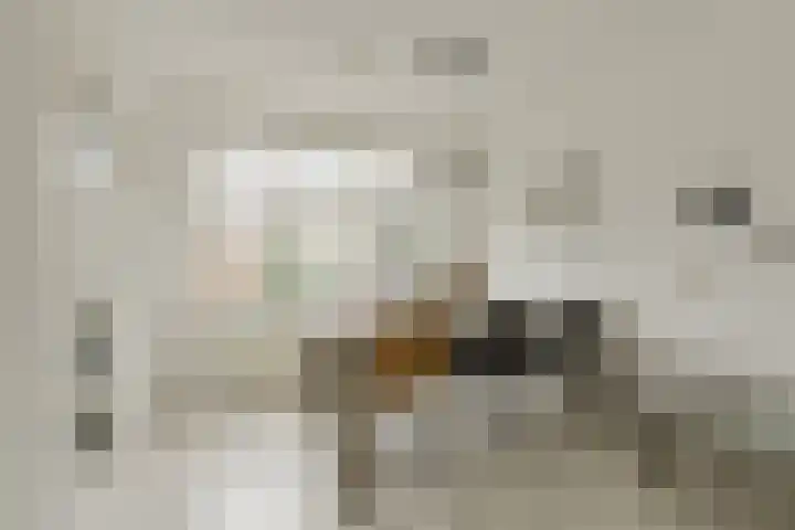 Voltaweg 10 Breda thumbnail 6