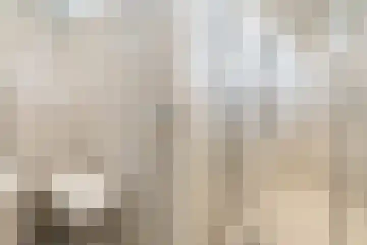 Vondellaan 101 Zevenaar thumbnail 31