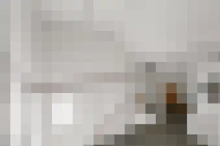 Vondellaan 101 Zevenaar thumbnail 33