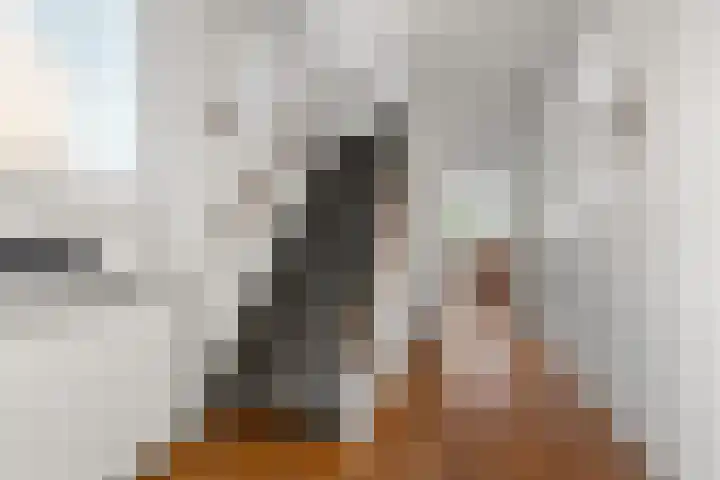 Vondellaan 101 Zevenaar thumbnail 5