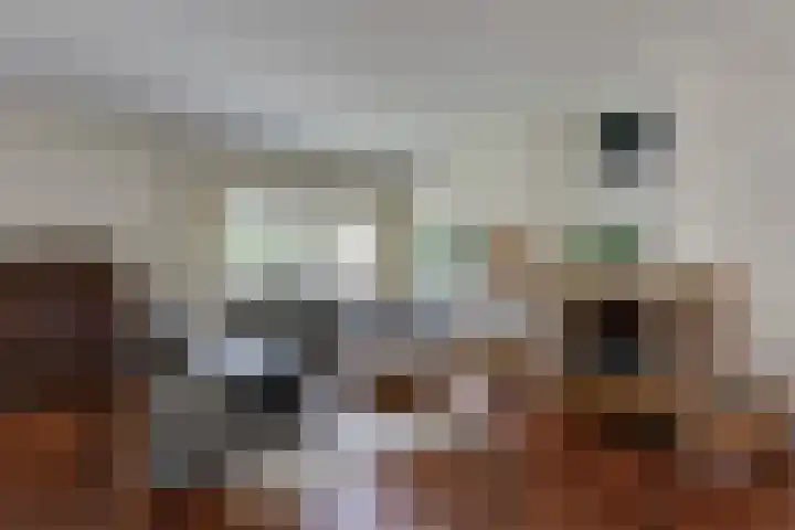 Vondellaan 11 Arnhem thumbnail 11