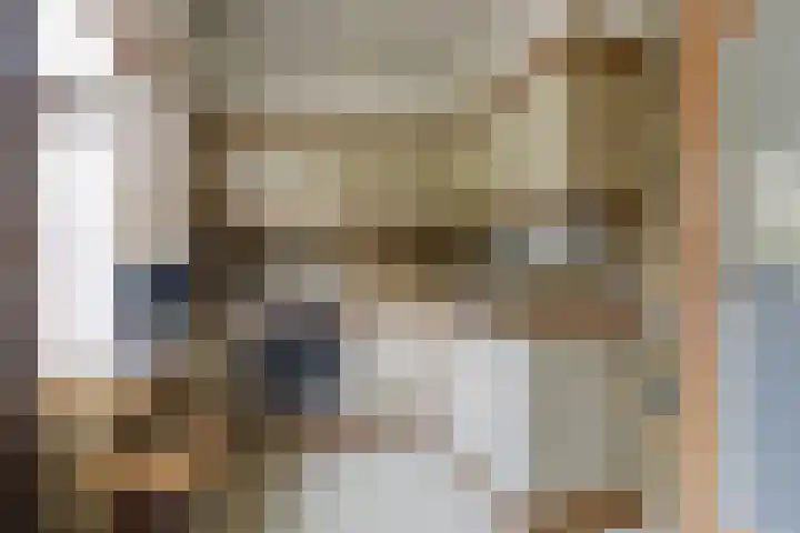 Vondellaan 11 Arnhem thumbnail 18