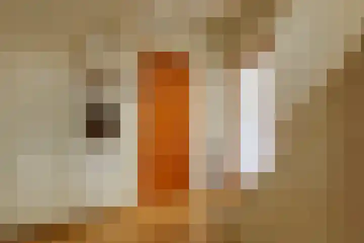 Vondellaan 11 Arnhem thumbnail 21