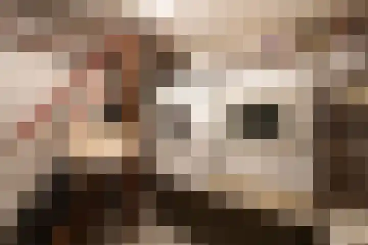 Vondellaan 11 Arnhem thumbnail 31
