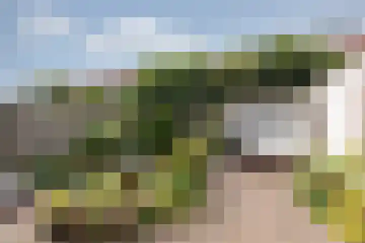 Vondellaan 11 Arnhem thumbnail 33