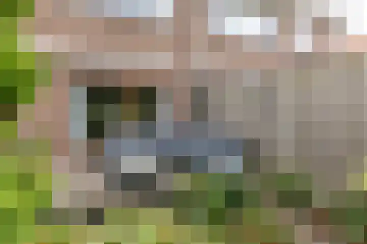 Vondellaan 11 Arnhem thumbnail 36