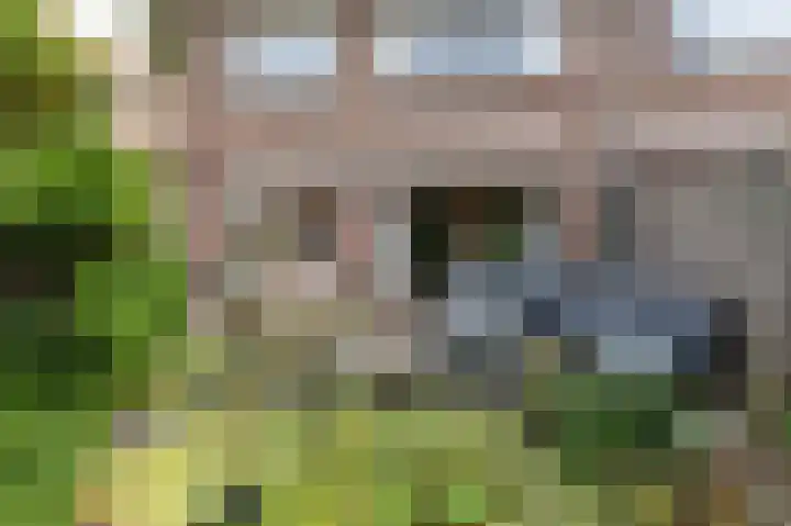 Vondellaan 11 Arnhem thumbnail 37