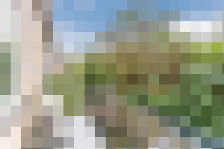Vondellaan 12 Soest thumbnail 21