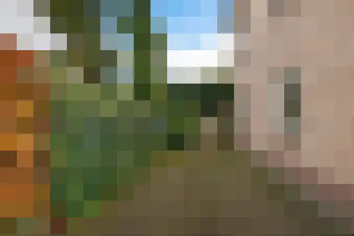Vondellaan 16 Soest thumbnail 16