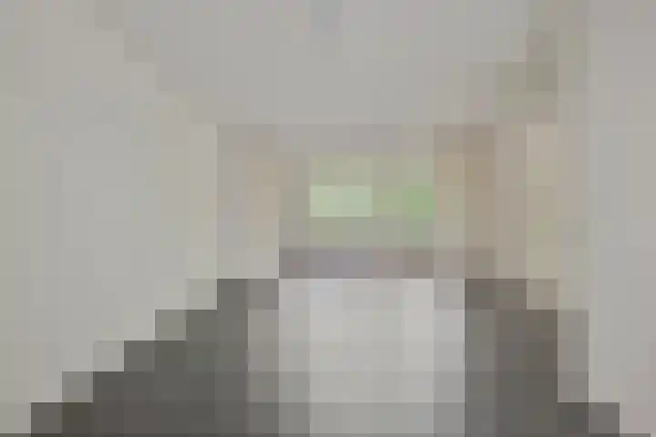 Vondellaan 165 Gemert thumbnail 27