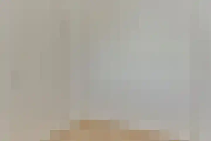 Vondellaan 165 Gemert thumbnail 36