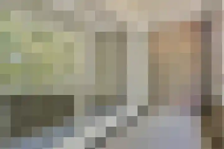 Vondellaan 165 Gemert thumbnail 39