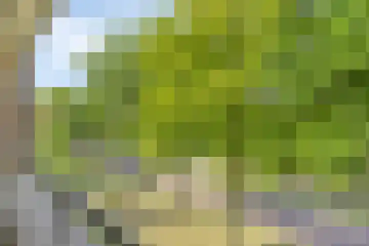 Vondellaan 165 Gemert thumbnail 40