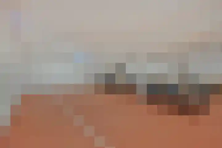 Vondellaan 165 Gemert thumbnail 42