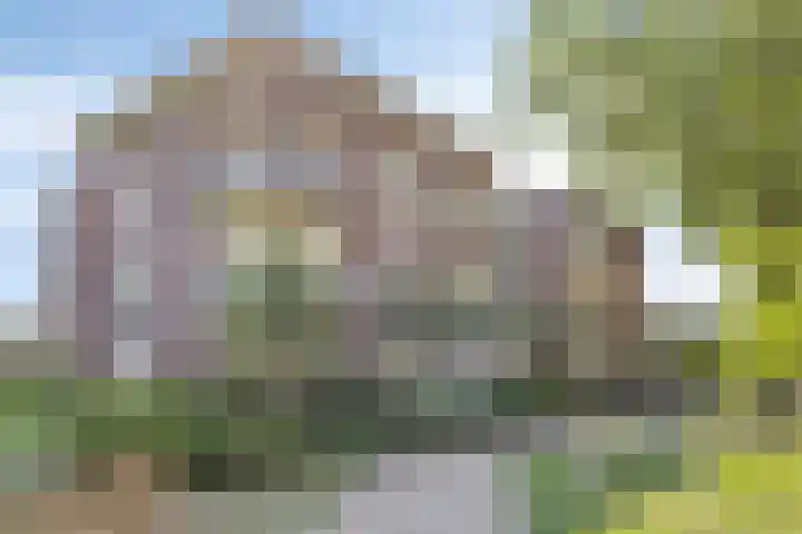 Vondellaan 165 Gemert thumbnail 54