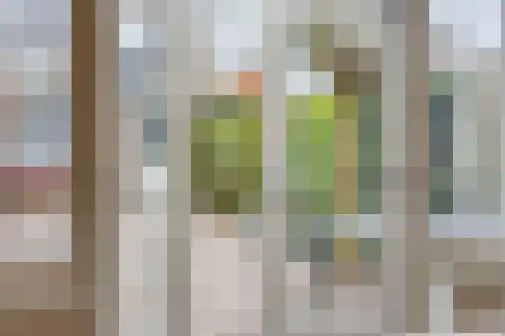Vondellaan 17 Leiden thumbnail 20