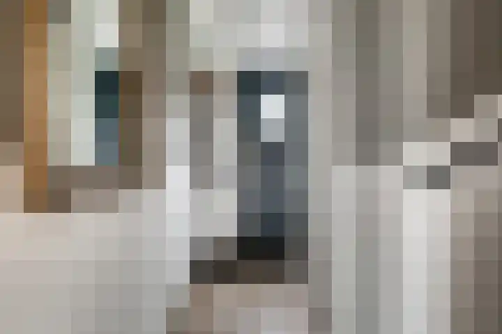 Vondellaan 2 C Zevenaar thumbnail 11