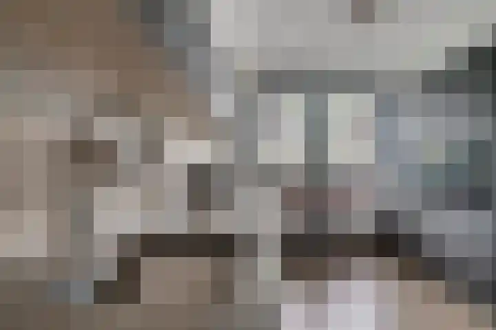 Vondellaan 2 C Zevenaar thumbnail 17
