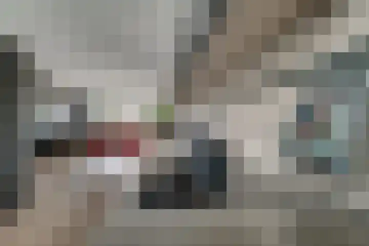Vondellaan 2 C Zevenaar thumbnail 19