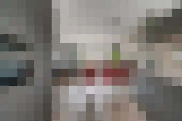 Vondellaan 2 C Zevenaar thumbnail 20