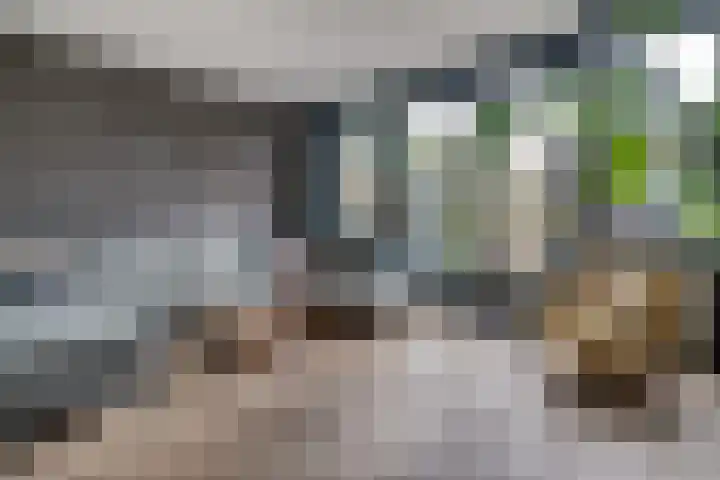 Vondellaan 2 C Zevenaar thumbnail 24
